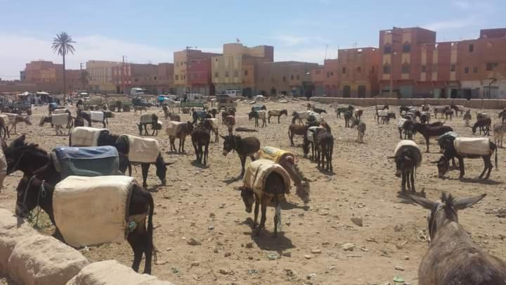 Hotel Maison Bedouin Merzouga Esterno foto